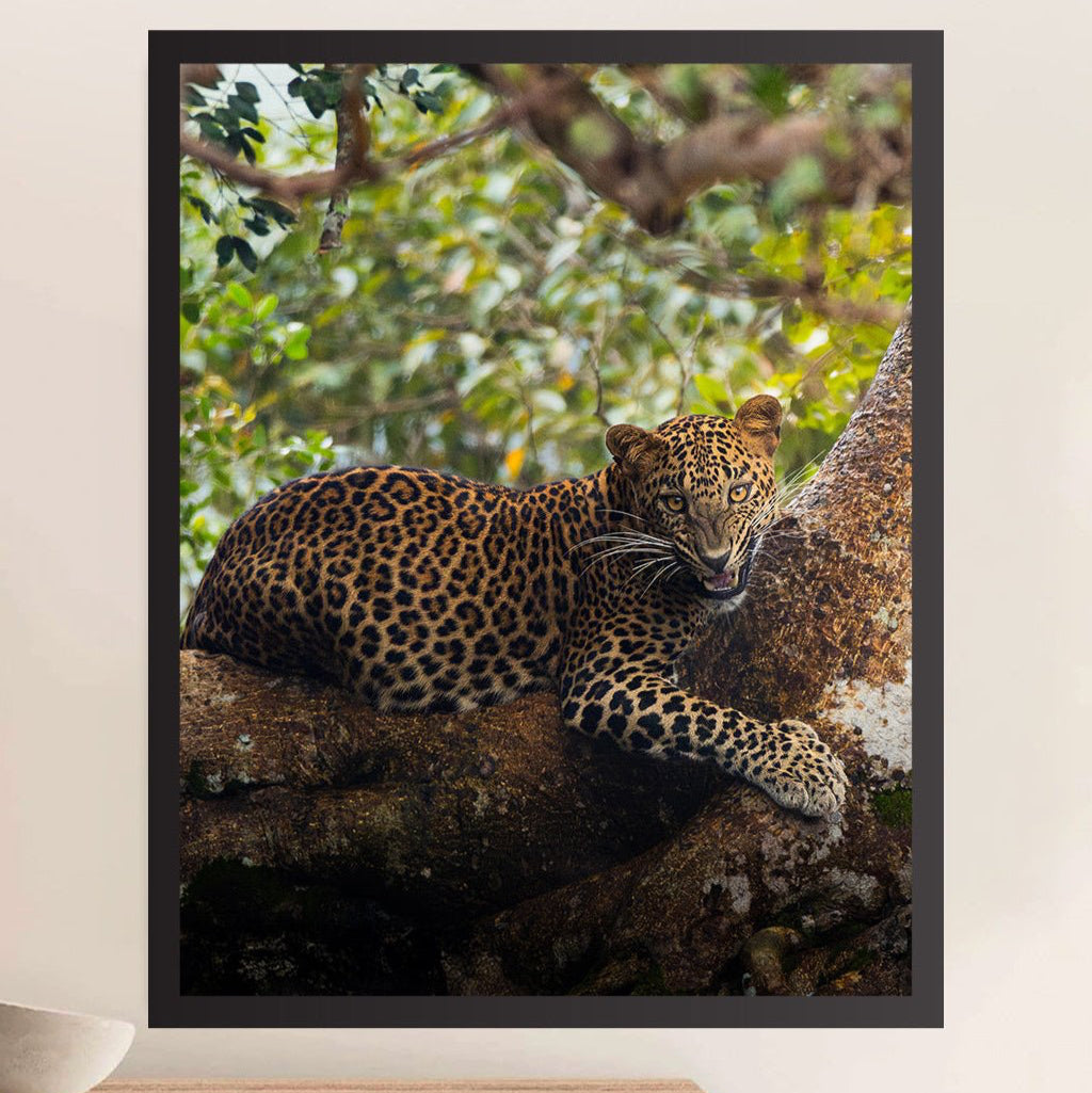 Resting, Yet Ruthless - Print + Frame with Glass - Jungle Juice