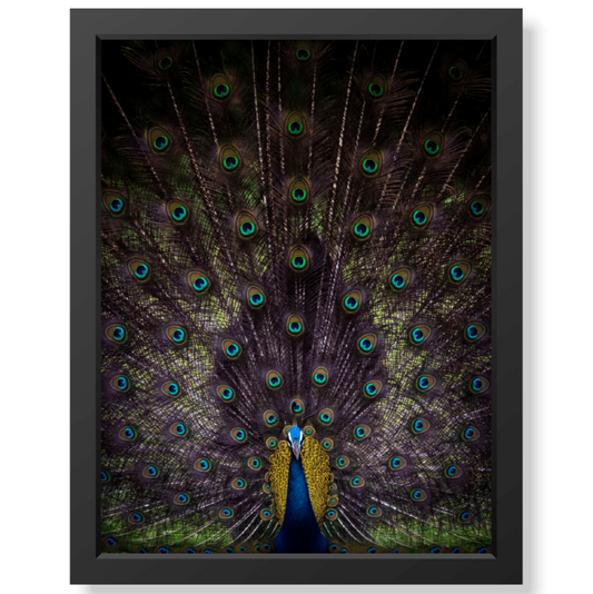 The Dance - Print + Frame with Glass - Jungle Juice