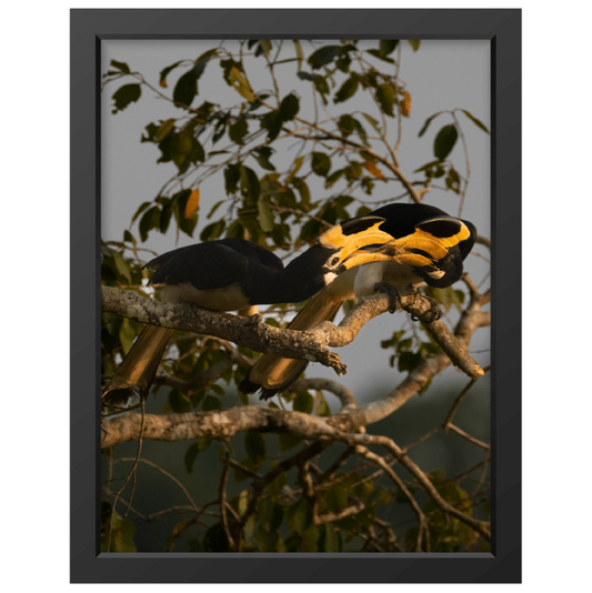 True love - Print + Frame with Glass - Jungle Juice